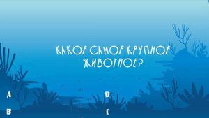 ЗАГАДКИ О МОРЯХ И ОКЕАНАХ! Проверь свои знания.