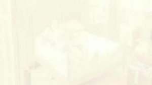 Джули и Джулия: Готовим счастье по рецепту