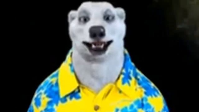 Брачный период у полярных медведей/ число завтра скажу когда будем запускать материю / хахахахахах смотреть онлайн