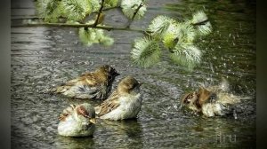 С Добрым Утречком!  Хорошего Настроения!☕?