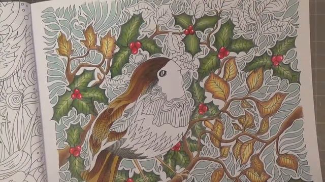 Lets colour Christmas in Lizzie Mary Cullen's 'The Magical Christmas' part 2 смотреть онлайн