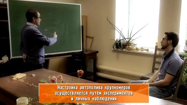 АВТОПОЛИВ для ДЕРЕВЬЕВ - КАК их правильно ПОЛИВАТЬ? | Рекомендации от специалиста из МГУ