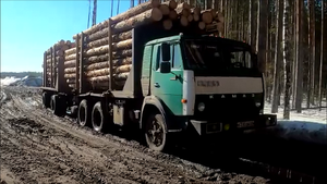 Работал в Шабалино. 2.