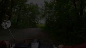 Купил Honda press cub. Первый обзор, максимальная скорость и езда по ямам.