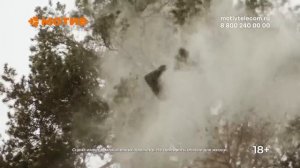 Безлимитный интернет под каждой ёлкой