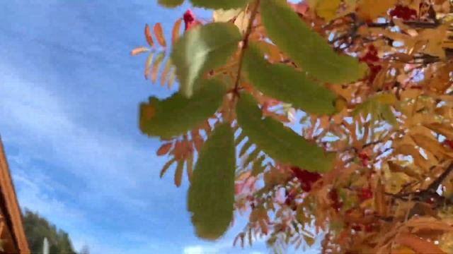 Вилья-Ла-Ангостура. Патагония. Самая короткая река в мире. смотреть онлайн