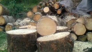 Бензопила Stihl MS271