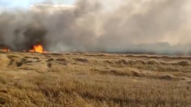 Под Оренбургом в поле загорелся комбайн смотреть онлайн