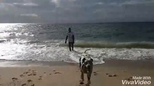 Angola. Ilha de Luanda. Ангола. Илья дэ Луанда