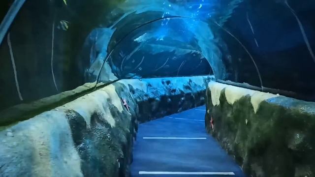 Океанариум в Астане, Жизнь в Казахстане, Русские в Казахстане,