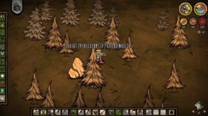 Лучшие места для базы в Don't Starve