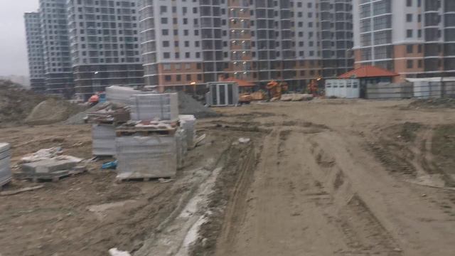 Человейники!