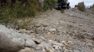 Разбили туалет в лесу