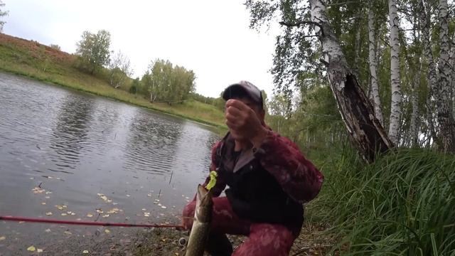 Дикое ОЗЕРО в ТАЙГЕ | голодные РЫБИНЫ жрут ВСЁ подряд