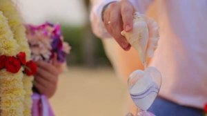 Веселая свадьба Ани и Максима в пастельных лиловых тонах на Южном побережье штата Гоа