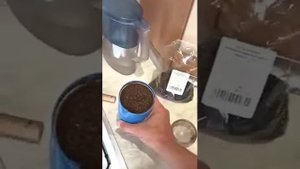 Квас из СССР. Рецепт как приготовить дома. Как из бочки. Вкус детства.