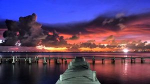 Оскал злобного юного принца Фантастические новости зелёных лесов Сказки мира