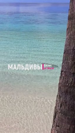 Shorts || МАЛЬДИВЫ - #Мальдивы #MALDIVES #MALDIVAS #ASMR #Shorts Мальдивы - Рай на земле! Отдых на М