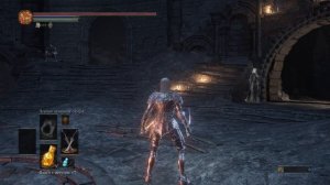 ГАЙД И МУВСЕТ ОРУЖИЯ "Мечи танцовщицы" В DARK SOULS 3 АНИМАЦИЯ