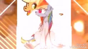 Пони собаки и кошки