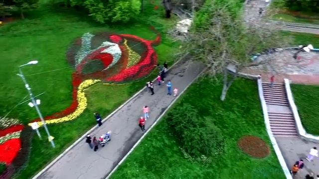 Выставка тюльпанов на Певчем поле
