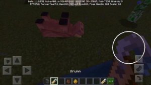 Как сделать мобов вверх ногами с помощью бирки