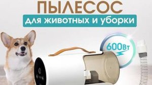 Пылесос для животных. Груминг  для собак