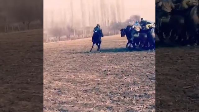 День тренировка 12 января 2019 г. смотреть онлайн