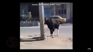 топ 10 мгновенная карма, люди получают по заслугам,