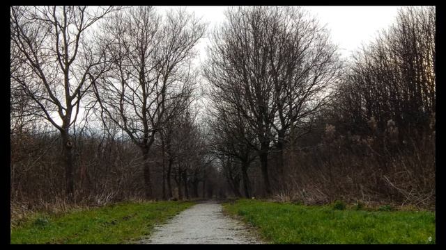 " The Slideshow " Nikon Coolpix L820 смотреть онлайн