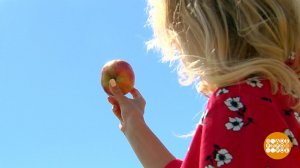 Где искать антиоксиданты? На рынке! Доброе утро. Суббота. Фрагмент выпуска от 17.06.2022