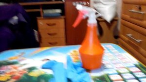 Как избавиться от блох у кошки у собаки в домашних условиях народные средства