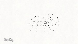 как размножаются мухи