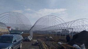 Строительство промышленных теплиц.