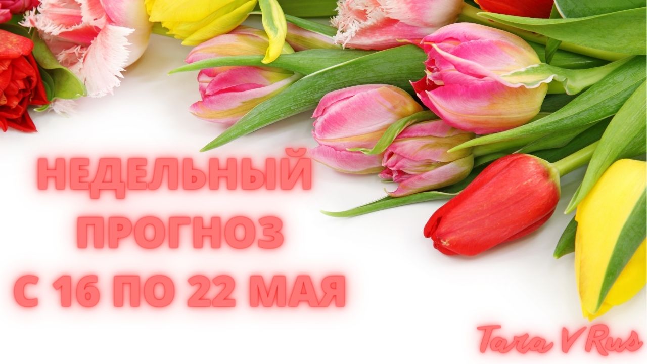 НЕДЕЛЬНЫЙ ПРОГНОЗ С 16 ПО 22 МАЯ ? #таро #картадня #прогноз