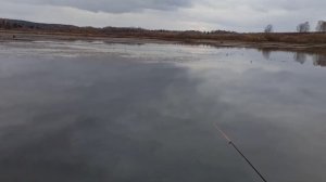 Эх Хвост чешуя не поймал я ни чего.