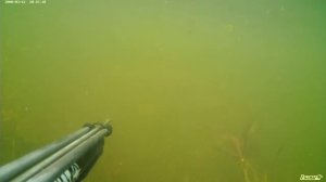 Подводная охота в Омской области..mp4