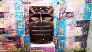 Колонка ELtronic EL 5 12 обзор мощной и красивой новинки с аккумулятором!