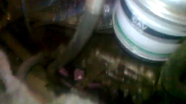 Motor Rocar TV(Aro) - Brasov смотреть онлайн