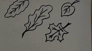 Как нарисовать, листья деревьев, рисовать карандашом, draws, leaves, sketch drawing