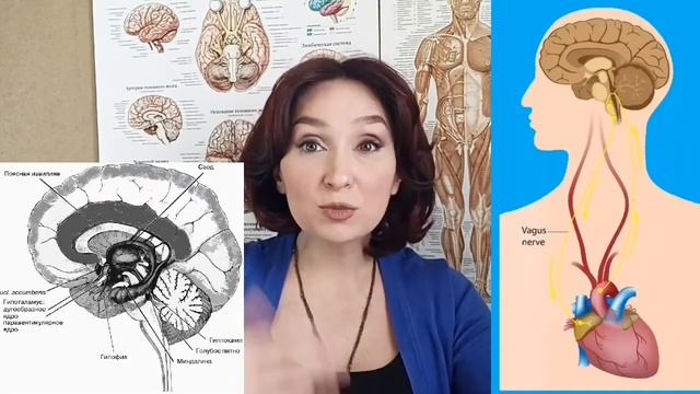 Психология стресса (1часть) смотреть онлайн