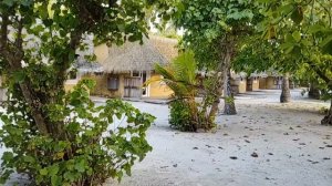 Kuredu Island Resort 4*/ Around the island trip.