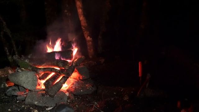 Winter TENT Camping in HEAVY Rain - Solo Wild Camp - Campfire смотреть онлайн