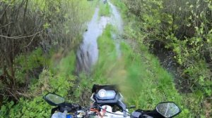 Два Racer Ranger 300 по лесу после дождя