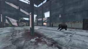 КОСОЛАПЫЙ МИШКА В ДЕЙЗИ! ПОЛНЫЙ ОБЗОР И БАГ МЕДВЕДЯ В DAYZ LIVONIA!