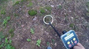Металлоискатель Рам-5 отзыв тест