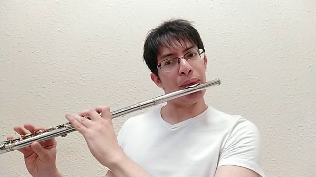 Flauta Japonesa Nikkan No.30 (En Venta) смотреть онлайн