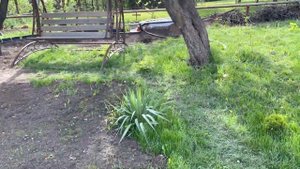 Новый пруд , новые проблемы с водой)). Нитрит взлетел до 0,4 , пруд уже с рыбой. Кто что знает ?