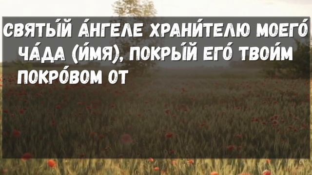 ПРОЧТИ ПЕРЕД СНОМ АНГЕЛУ ХРАНИТЕЛЮ ЗА ДЕТЕЙ! Молитва Ангелу Хранителю!