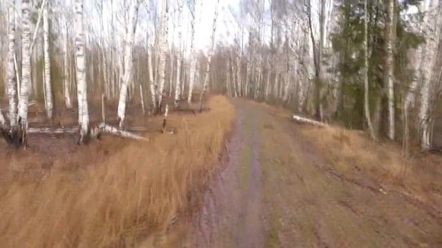 03.11.2013 Рахья - бол. Лепсарское - р.Морье - Ириновский канал - Рахья